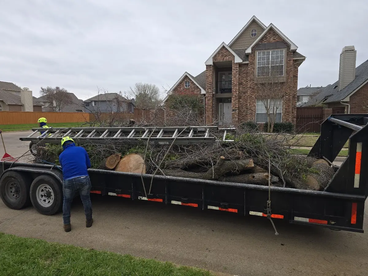 Expert Lot Clearing with proper safety equipment in North Hollywood